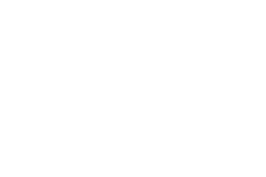 Logo Press X Play